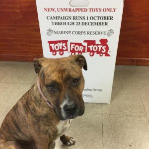 Toys for Tots donations