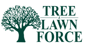 Tree-and-Lawn-Force_Logo_V2